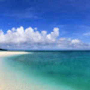 Meet your Posher, Coral